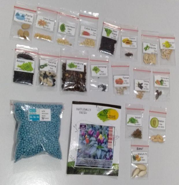 Isi 10 Biji - Benih Cabai Purple Rainbow Pepper - Haira Seed