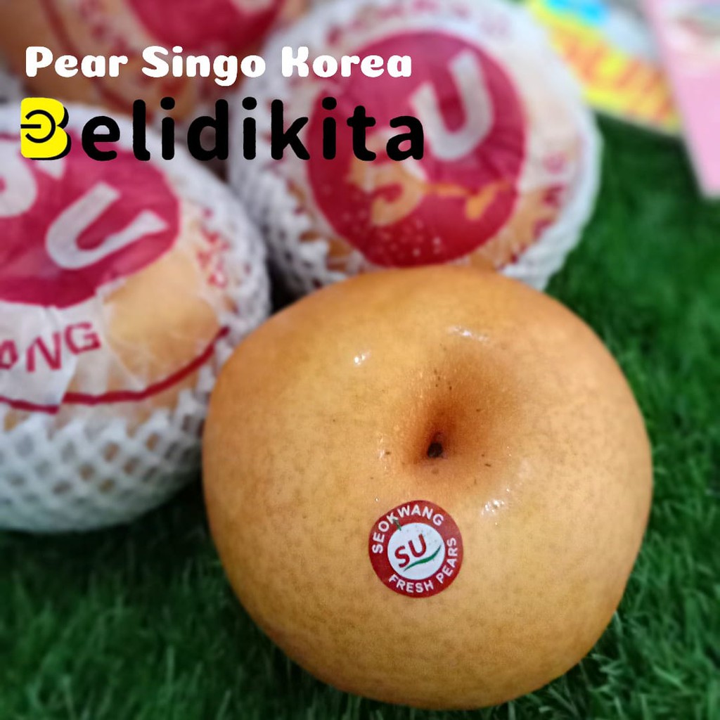 

Pear Singo / Pear Korea Jumbo