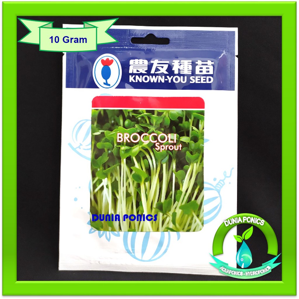 Jual Benih Microgreen Broccoli Sprout Known You Seed 10 Gram Seeds