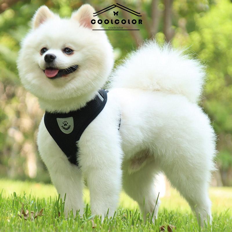 CODPet Chest Back Leash Mesh Strip Reflektif Crossing Road Perlengkapan Hewan Peliharaan tahan aus- cl