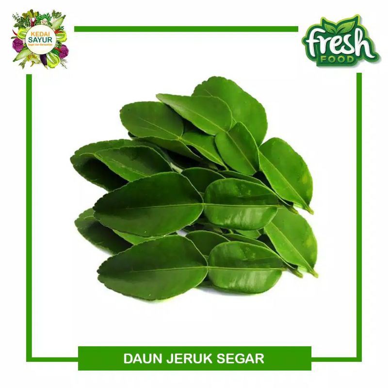 

daun jeruk