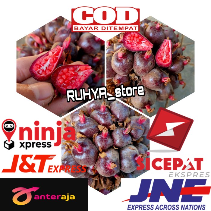 

Buah Honje Laka-Honje Merah 1kg - Honje Tua segar fresh