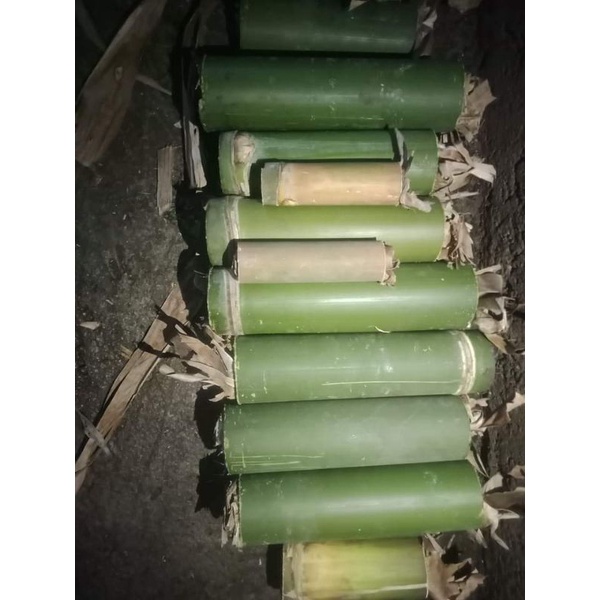 cangkilung / ulat bambu