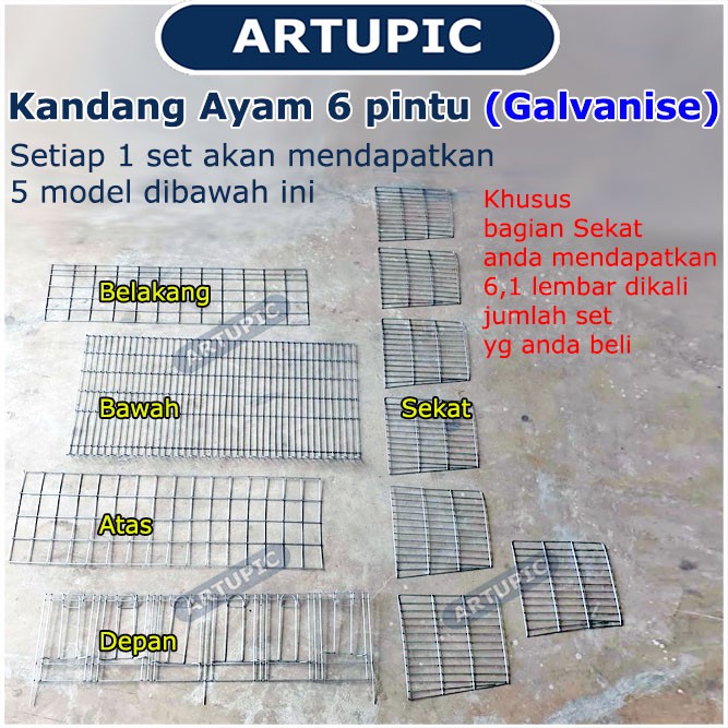 Kandang Ayam Petelur 6 Pintu Galvanise