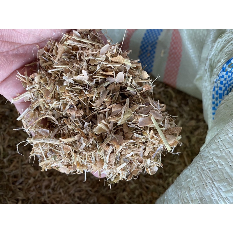 RENDENG KEDELAI/BUNGKIL KEDELAI 1KG