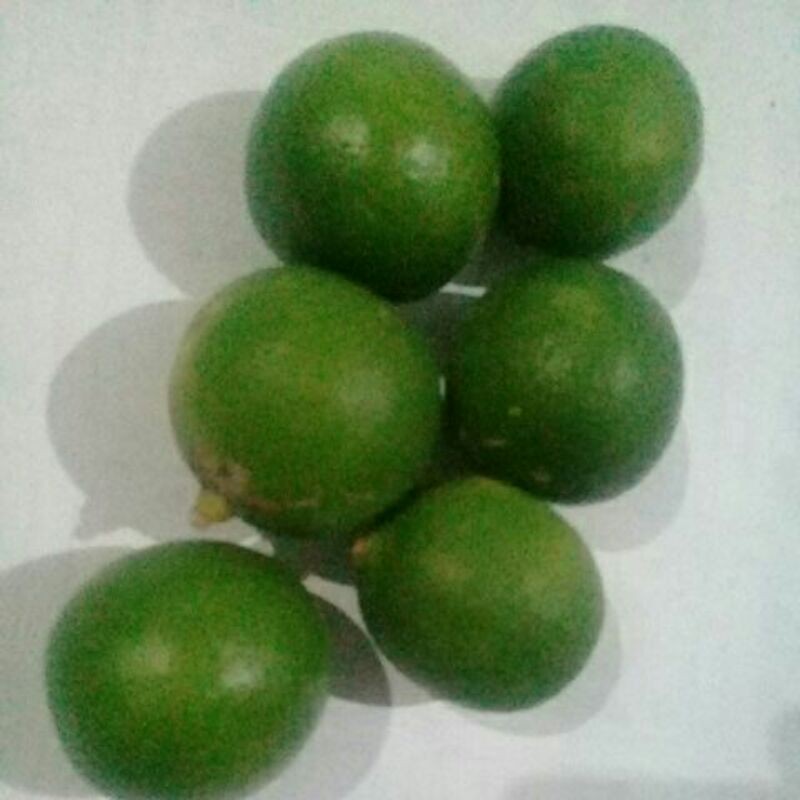 

jeruk nipis