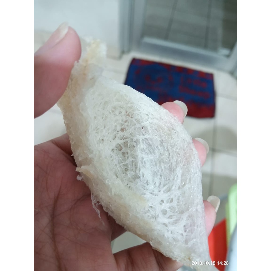 Sarang Burung Walet Bird Nest - 燕窝