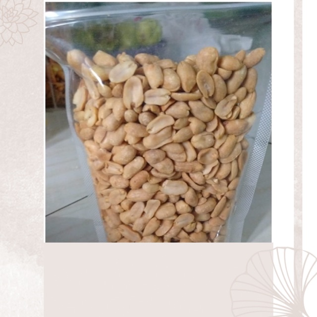 

Kacang bawang 500gr