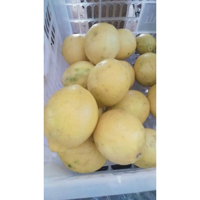 

lemon import