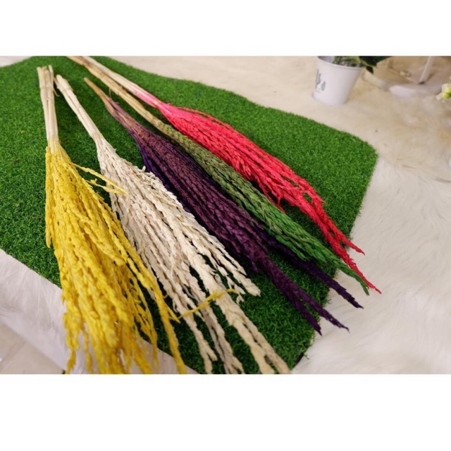 Bunga Jagung Kering / Bunga Jagung Jumbo/ Dried Corn Colour / Bunga jagung / Dried Flower