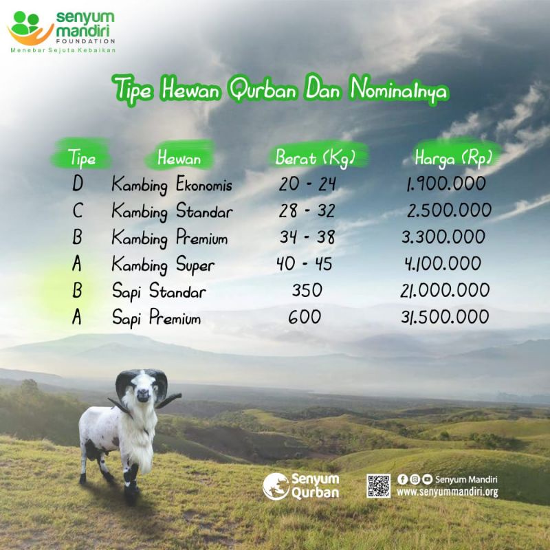 

Senyum Qurban k4mbing