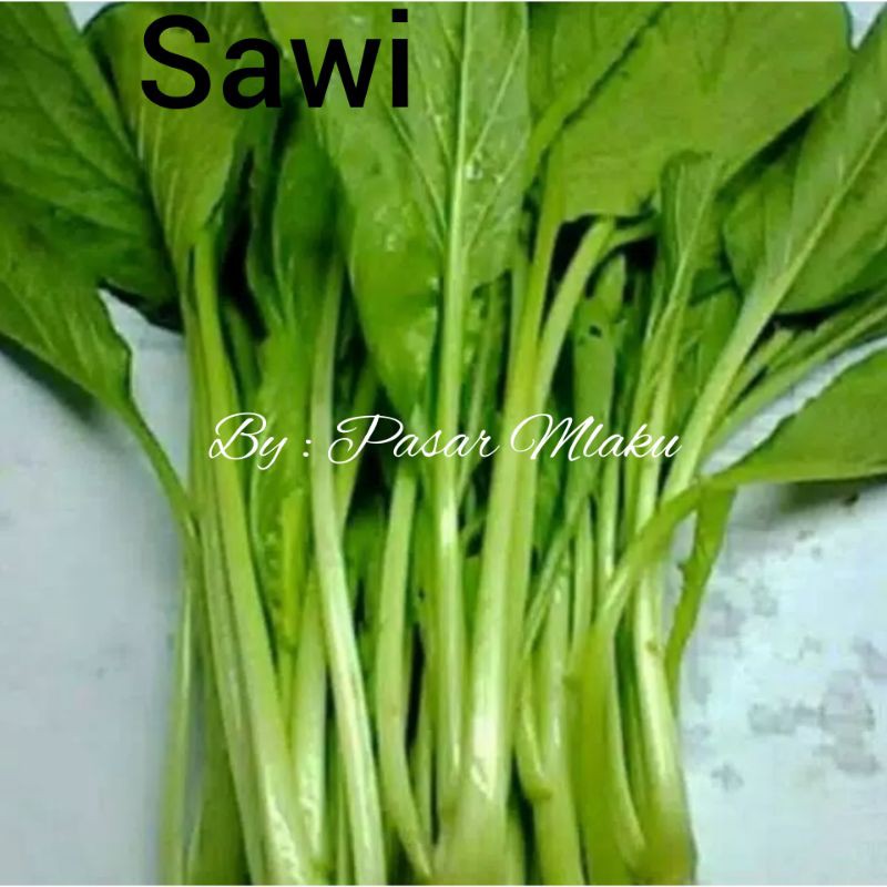 

SAWI HIJAU PERIKAT/ SAYUR SEGAR SETIAP HARI