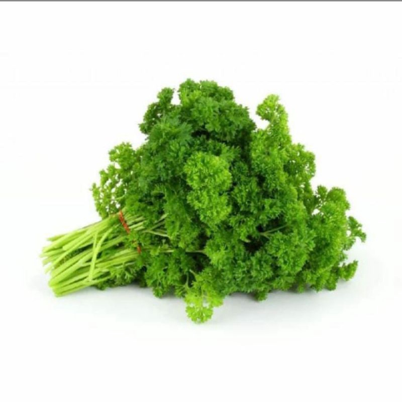 

Parsley Organik 100gr
