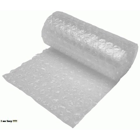 Plastik bubble (bubble wrap) untuk packing tambahan