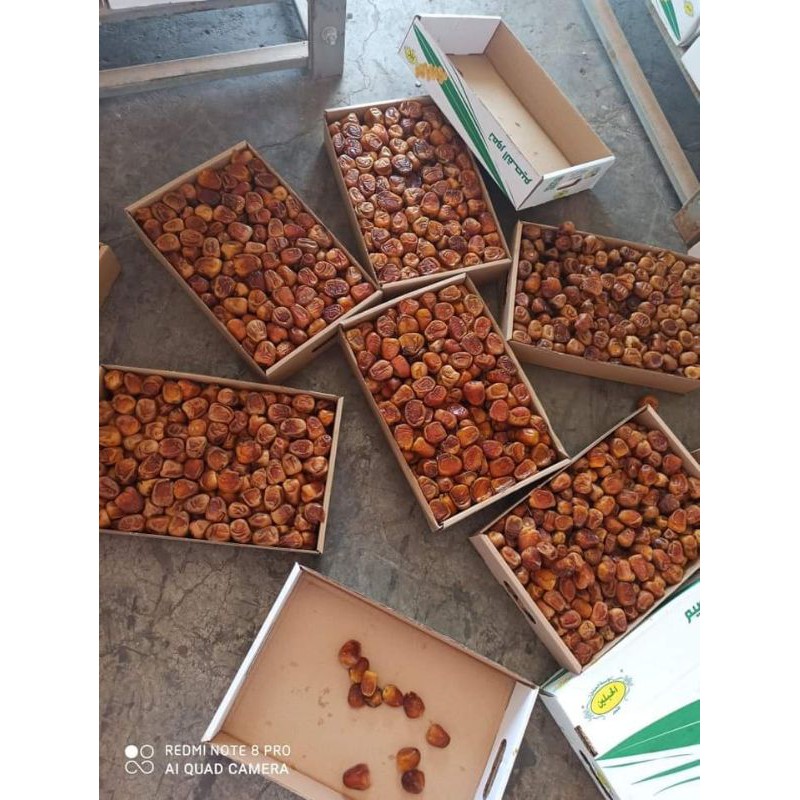 

kurma sukari termurah terbaru 1kg