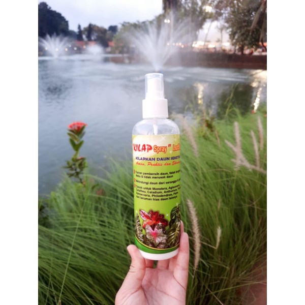 Kilap Daun Spray 250ml Kilap Seketika