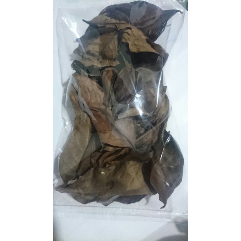

Daun Salam Kering / Koja Kering