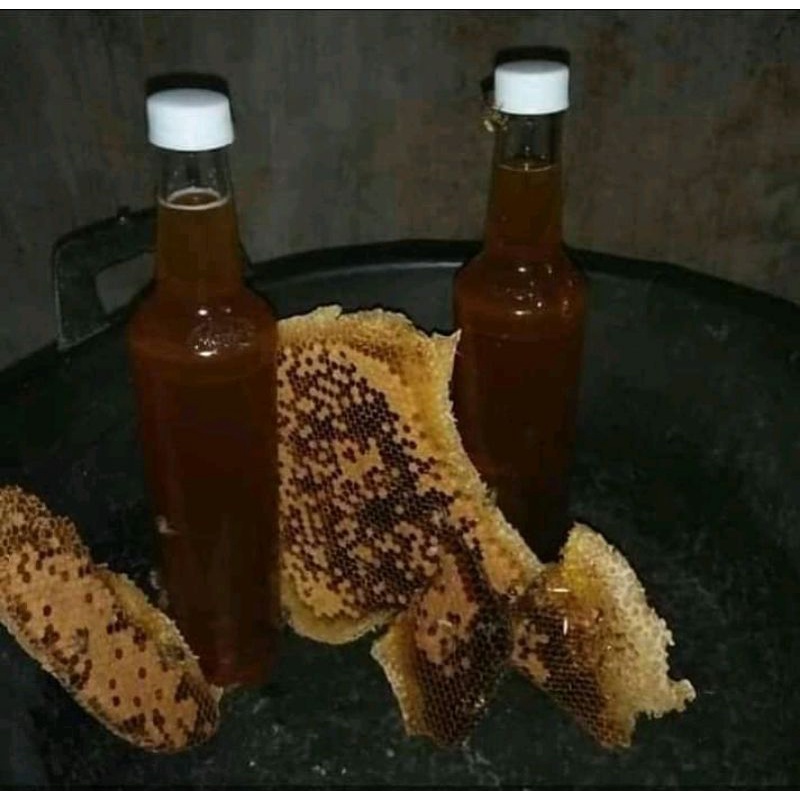 

Madu liar hutan lamongan