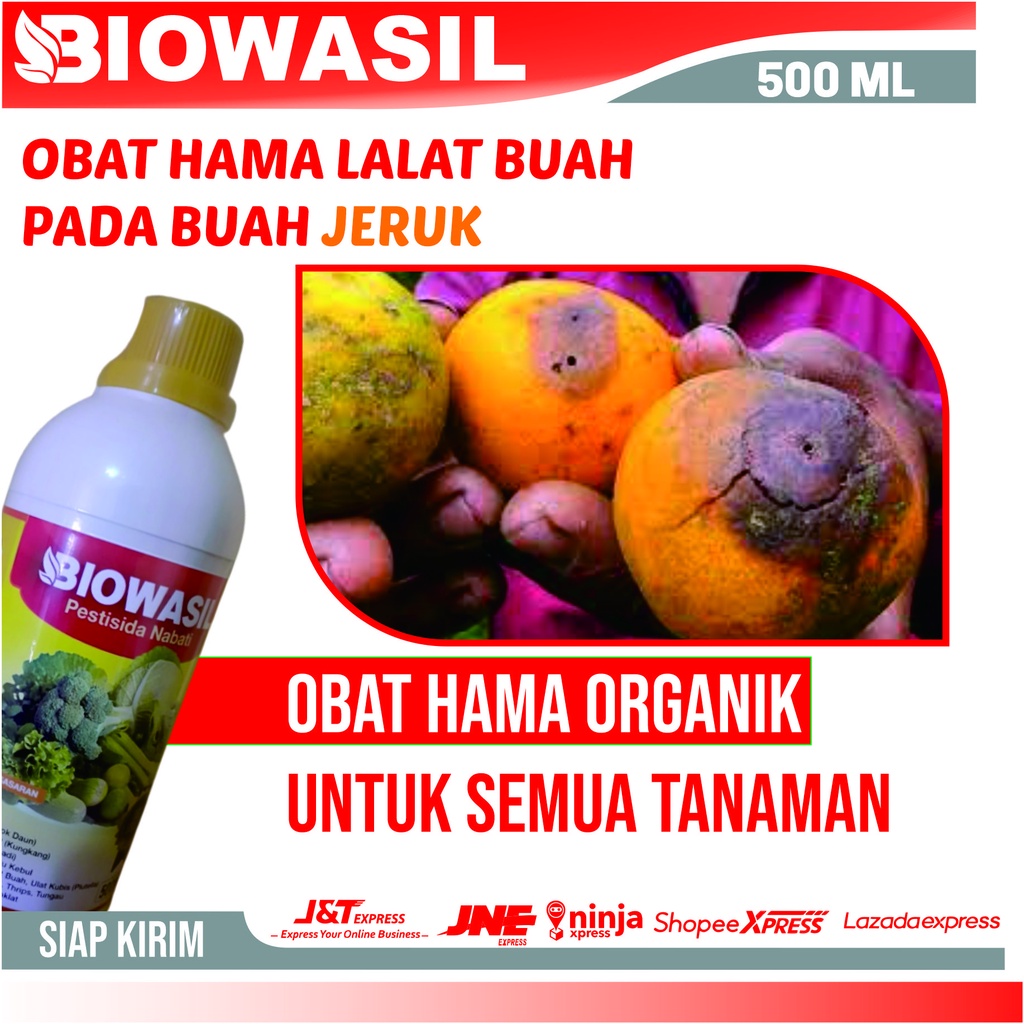 Obat hama lalat buah Jeruk BIOWASIL 500 ML Pestisida Nabati Anti Hama Lalat Buah Pada Jeruk Paling A