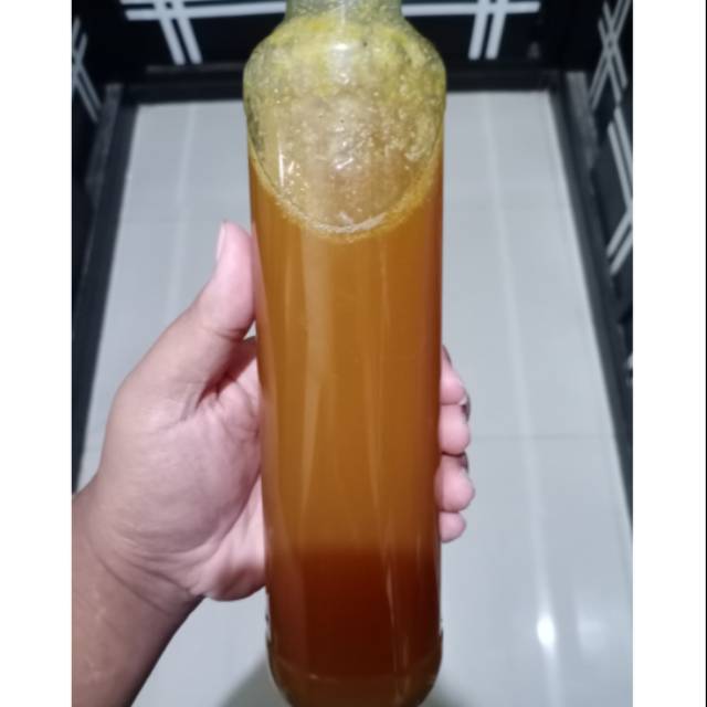 

Madu hutan 500ml