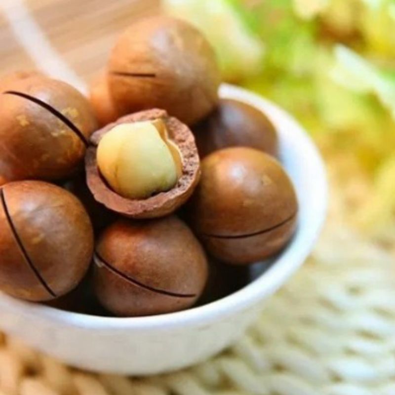 

cemilan makana sehat Snack kacang macamadia