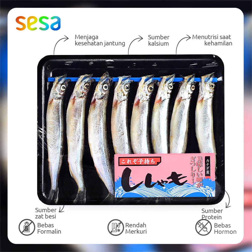 Ikan Shisamo (Capelin)  150 g / Pack