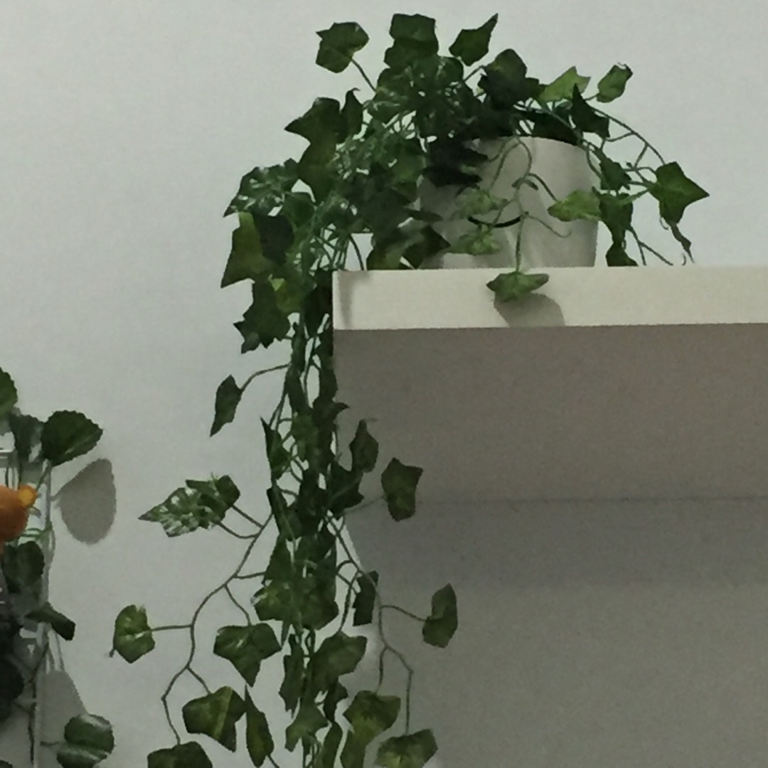 Ariani1318/ Floral Foam / Gabus / Busa Kering /oasis Kering