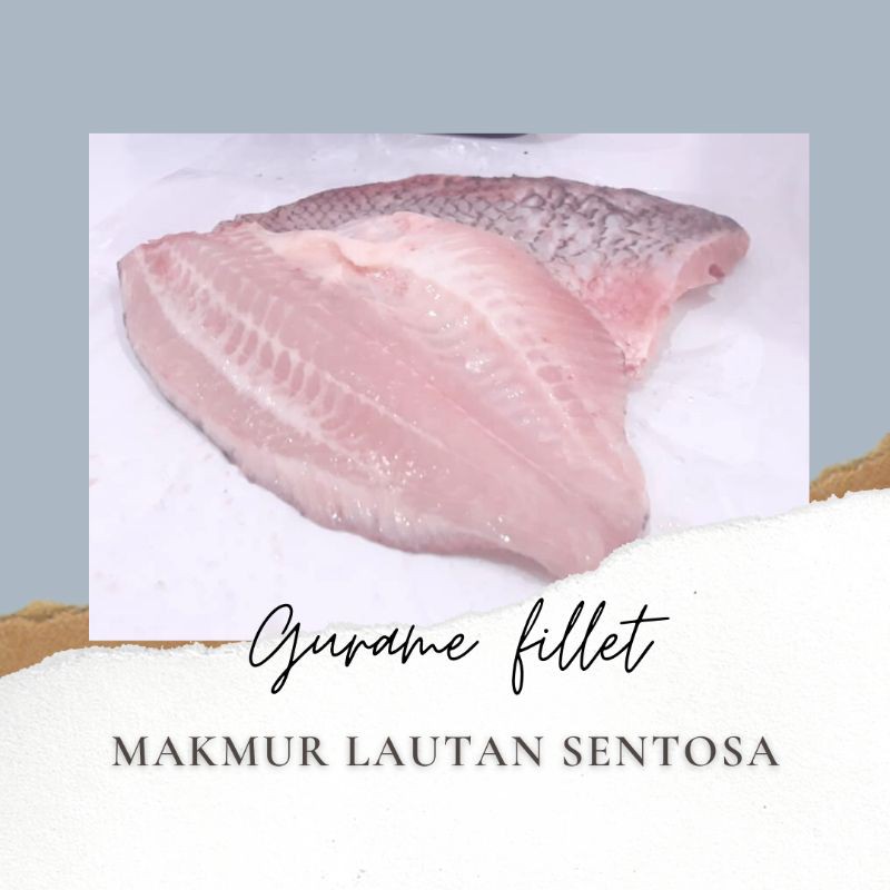 

Ikan Gurame Fillet Fresh Harian