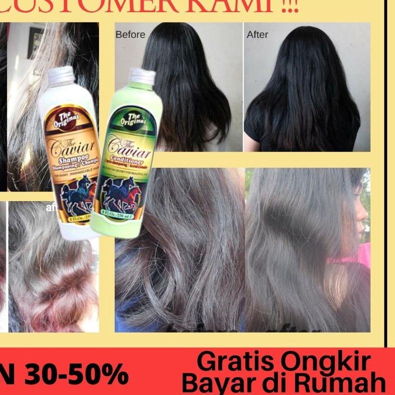 ✫ SHAMPOO PAKET PENUMBUH RAMBUT BOTAK - PAKET CAVIAR SHAMPO CONDITIONER - SAMPO KUDA - KONDISIONER ➱