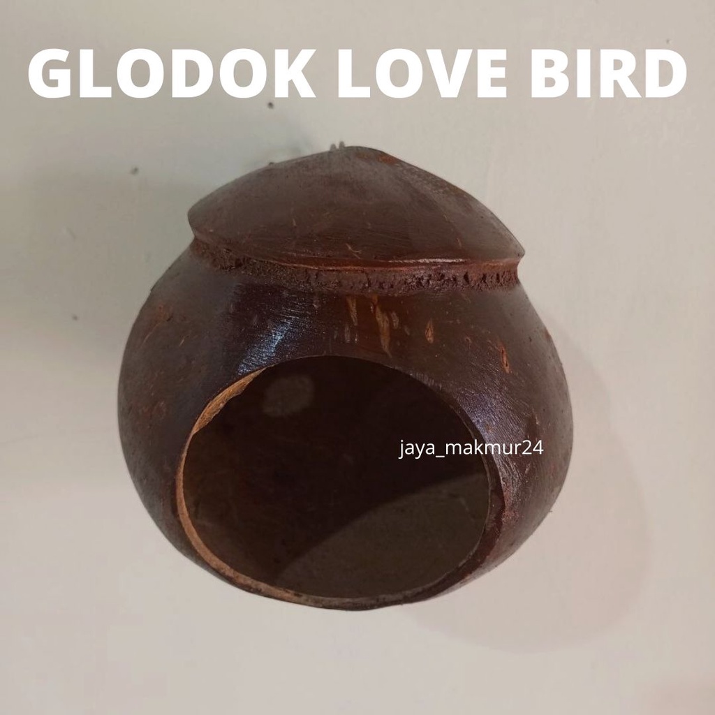 Glodok Burung Lovebird - Sarang Burung Lovebird
