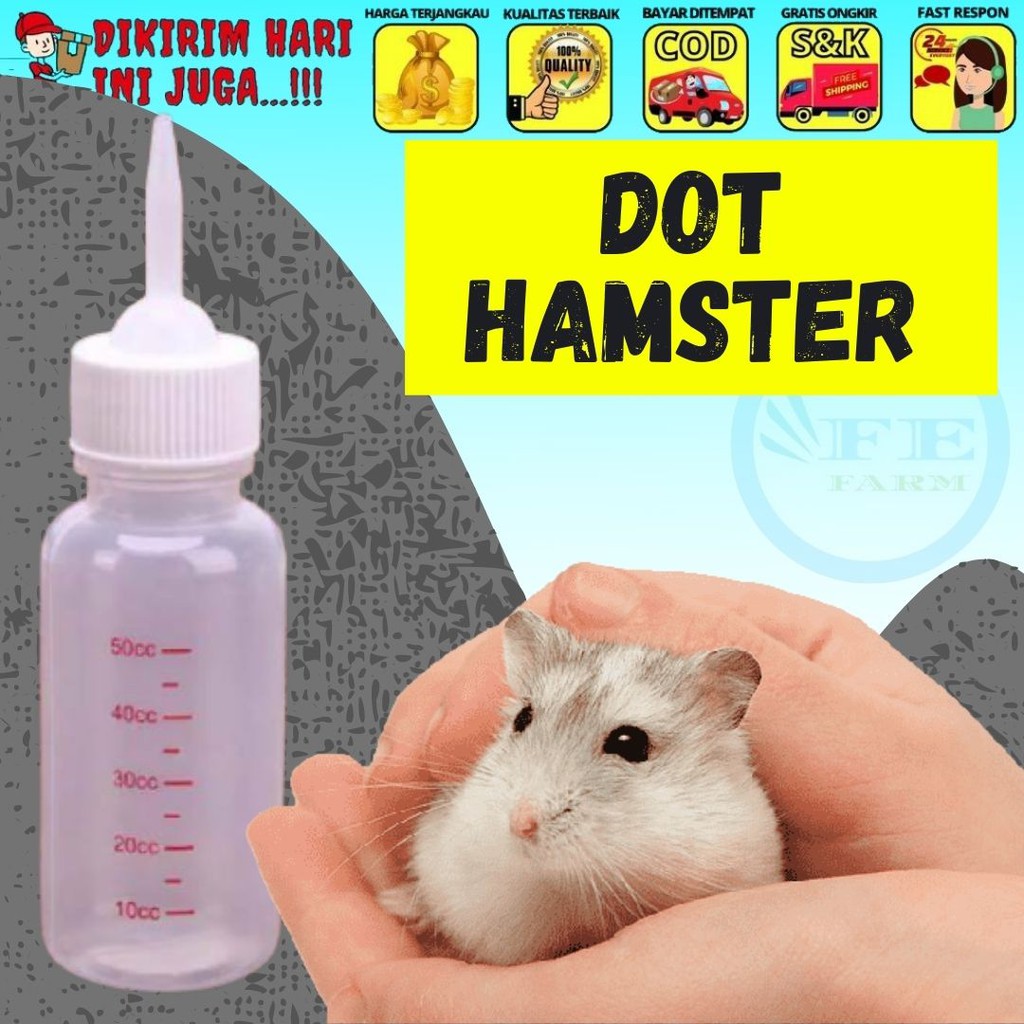 DOT HAMSTER FEFARM