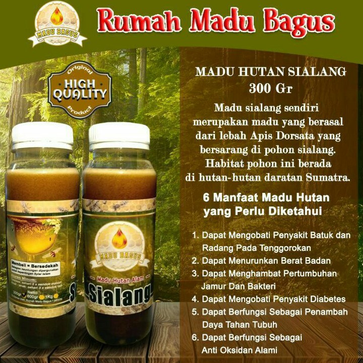 

madu hutan sumatra (Sialang Jambi)