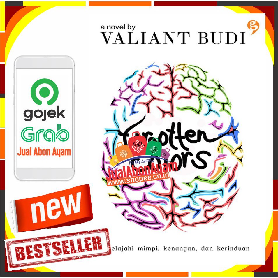 NOVEL FORGOTTEN COLORS VALIANT BUDI