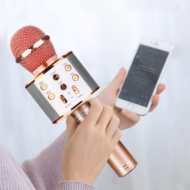 Mic Karaoke Portable