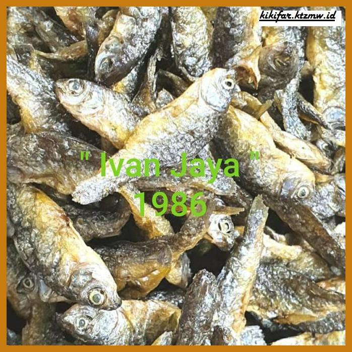 

GNIREKDOOF- IKAN DANAU SINGKARAK/BILIH KECIL/BILIS/TAWAR PADANG 1KG/1000 GRAM -ORIGINAL.