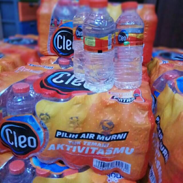 

Cleo smart