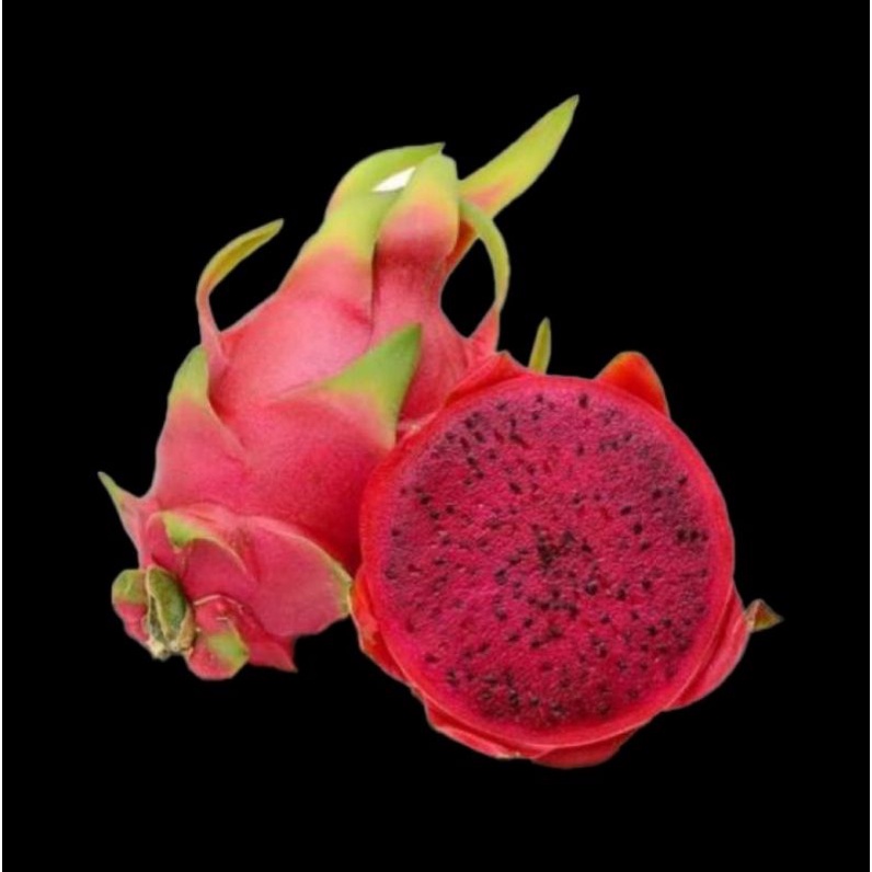 

buah naga merah 500 gr