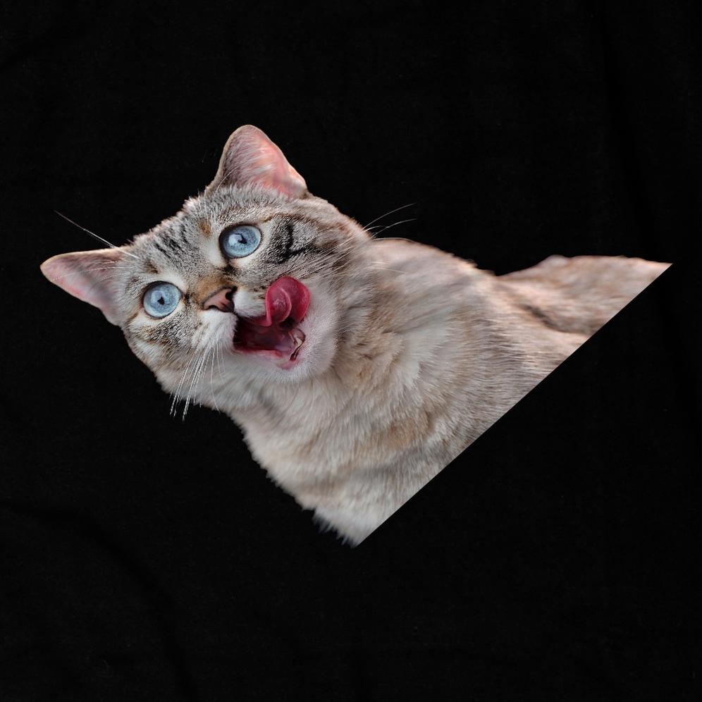 KAOS  | WOWCAT | CAT SERIES {NPM.31My22r}