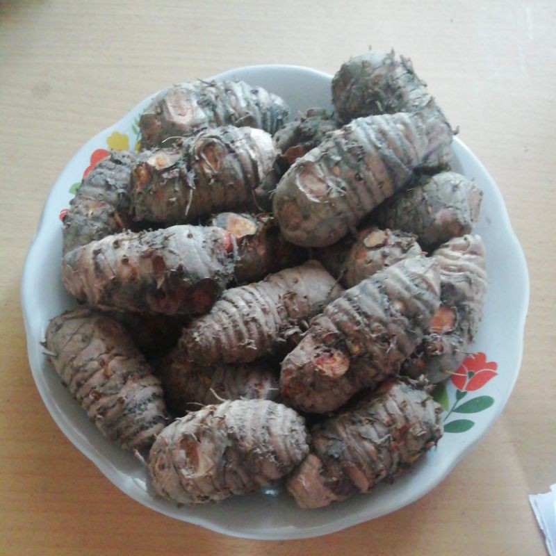 

Induk kunyit / Biang Kunyit 500G