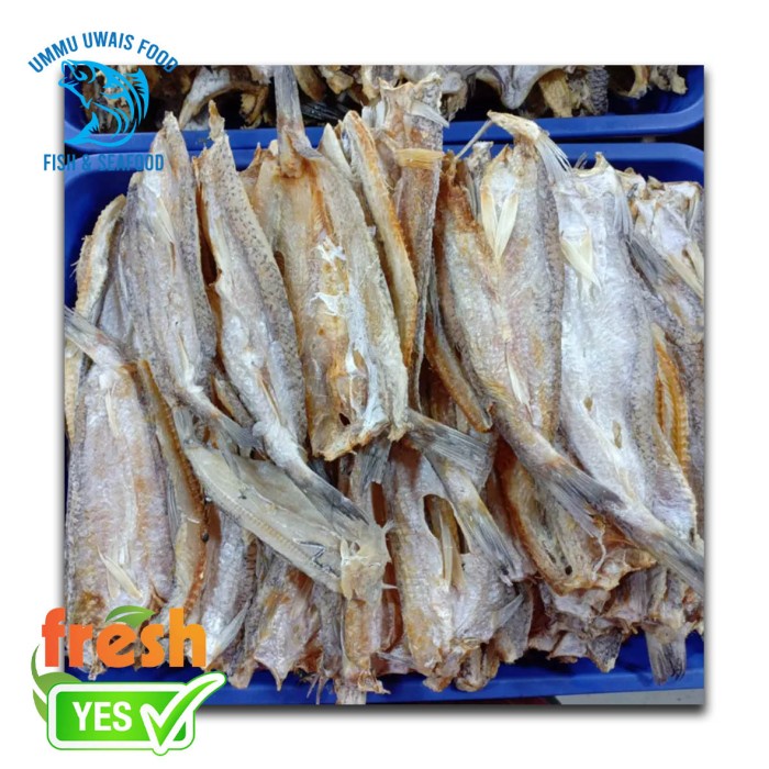 

Ikan Asin Kacang Kacang - 250 Gram