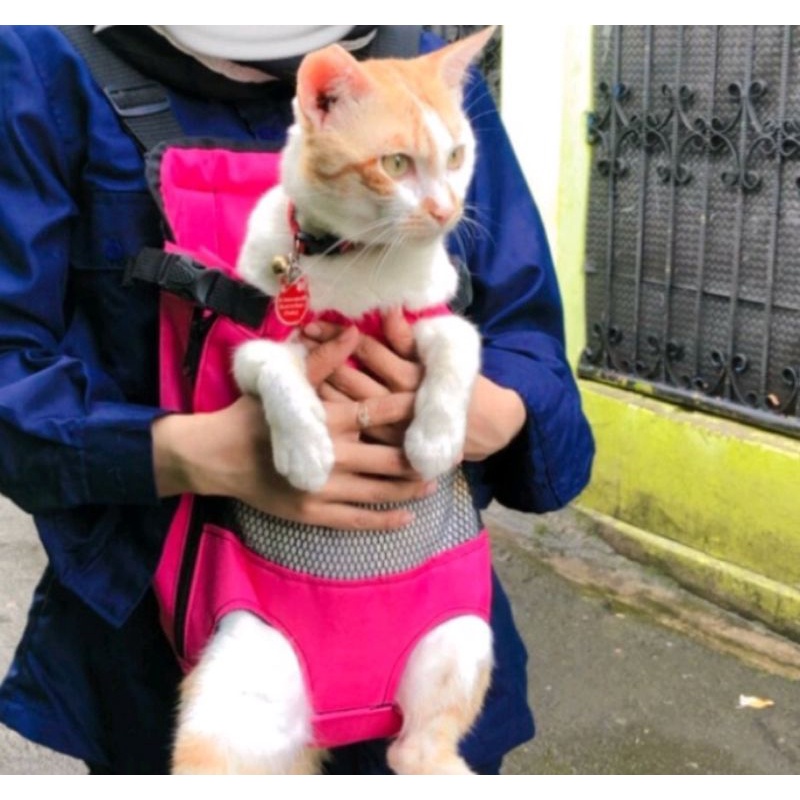 PET CARGO/GENDONGAN KUCING ANJING DEPAN/BELAKANG/TAS RANSEL KUCING BESAR/KECIL