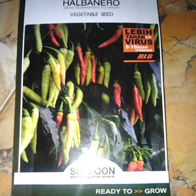 benih cabe rawit unggul, benih cabai rawit shypoon f1