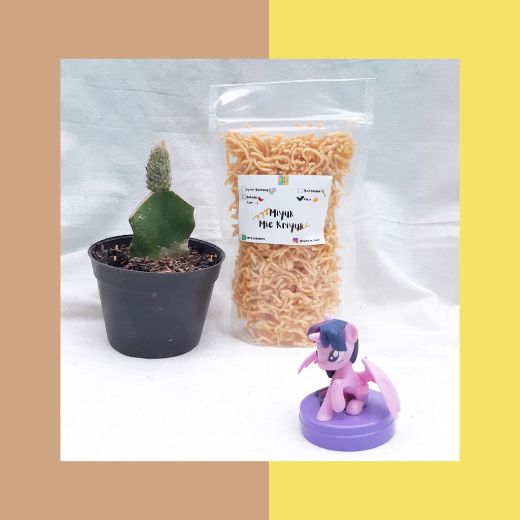 

MIYUK Snack/Cemilan Mie Kriyuk (Mie Gowok/Mie Gemez/Mie Kremes) Rasa Keju/Cheese Flavor