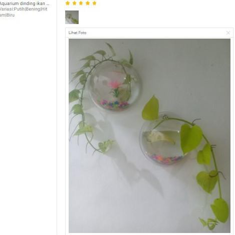 ⚠️[Special]✔️ - Aquarium dinding ikan cupang dan gupy  Diameter 20cm