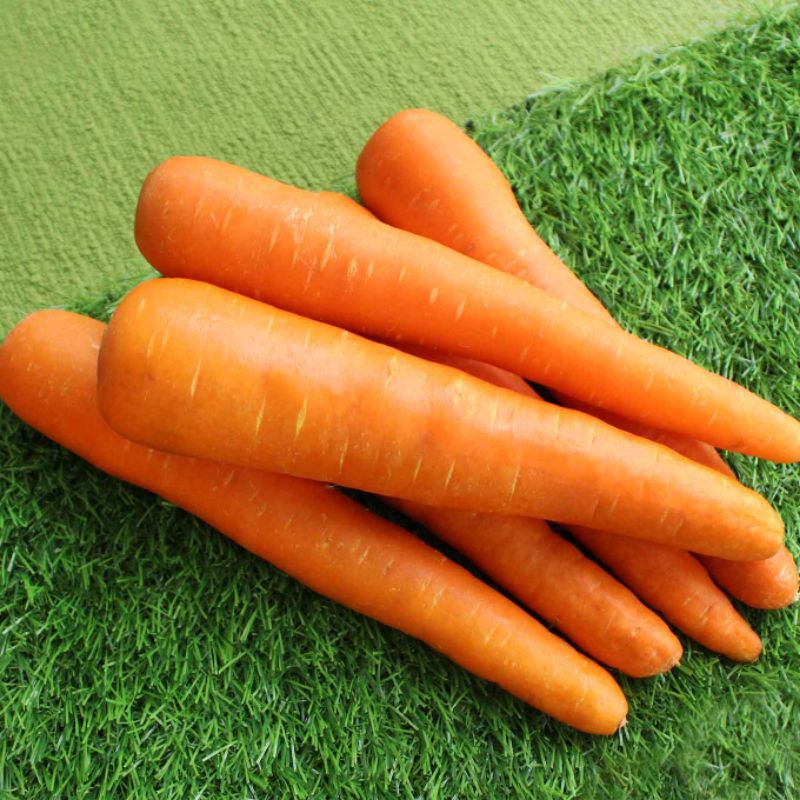 

Wortel Berastagi 500 gr