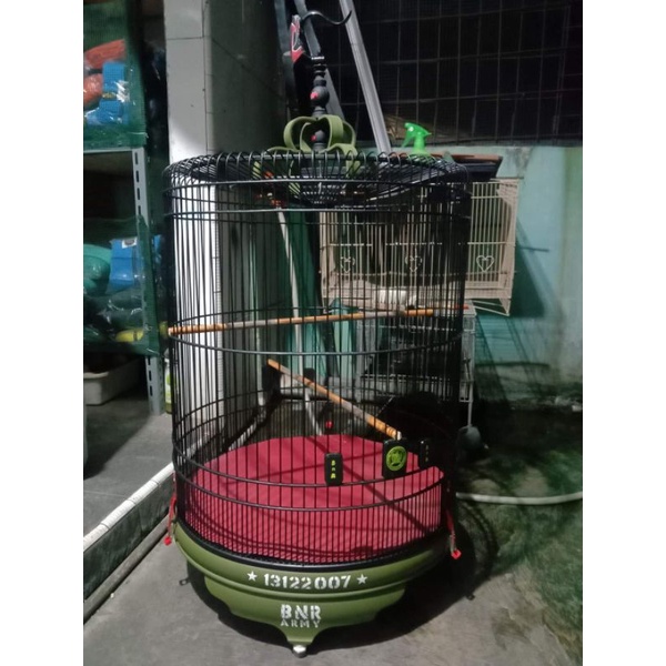 sangkar murai BNR army