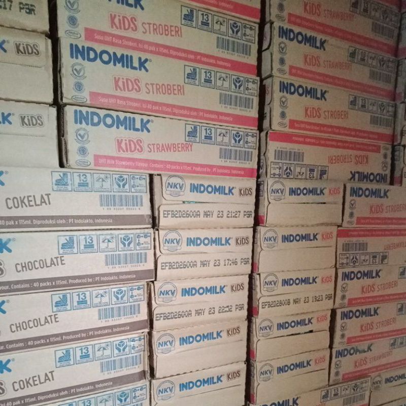 

indomilk kids
