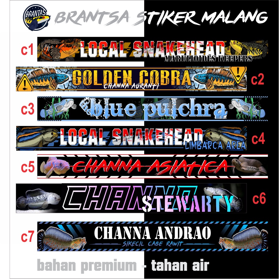 stiker fish aquarium/ to channa/desain menarik/stiker iwak galak