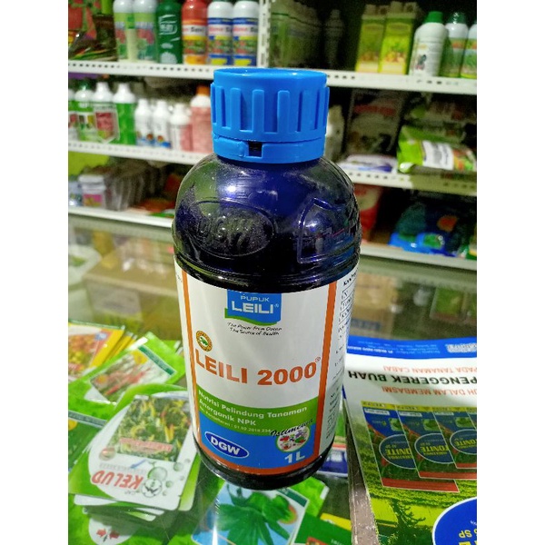 LEILI 2000 by DGW 1lt