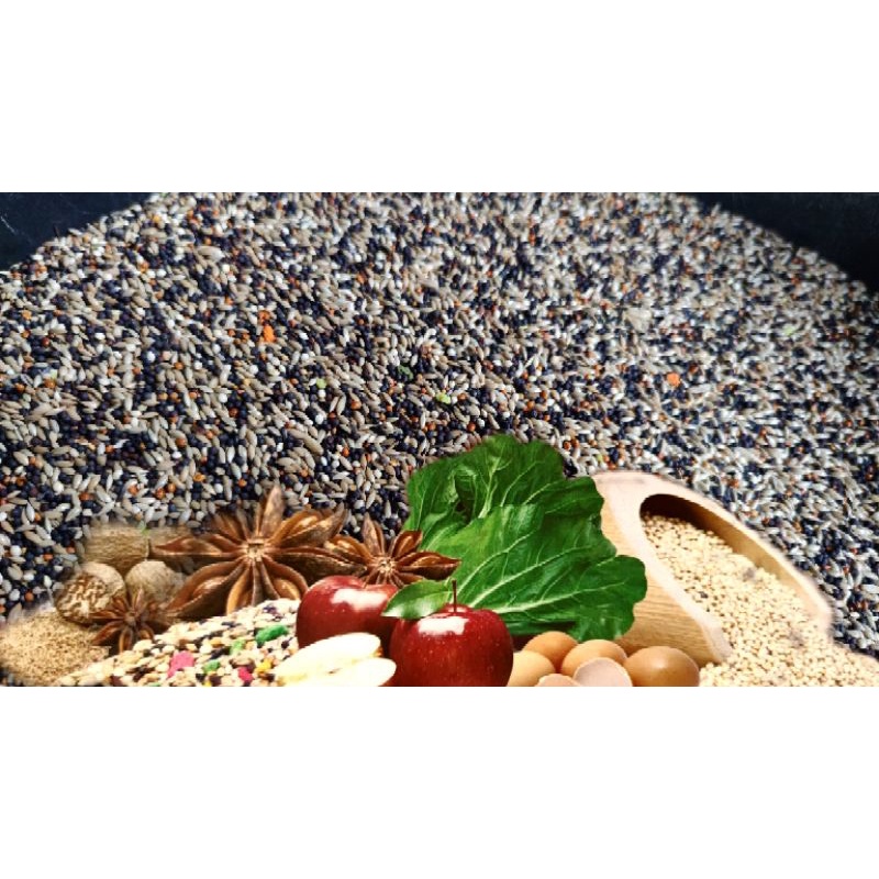 PAKAN KENARI ( BURUNG IMPORT & LOKAL) PAKAN  KN82